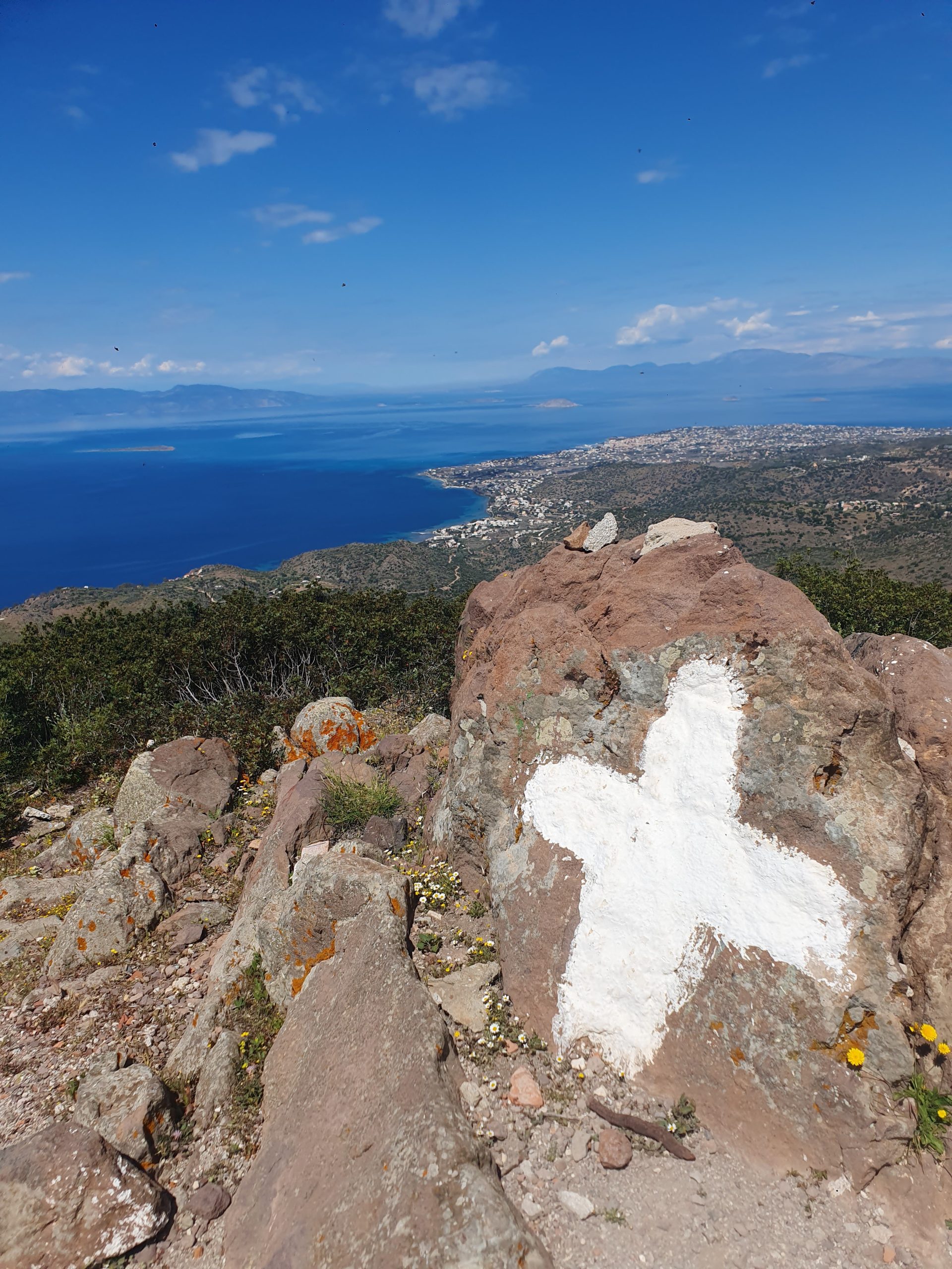 Govita Maltezou: Authentic flavors and love for Aegina 5