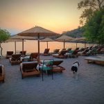 Sarpas Beach Bar Aegina, Παραλία Σαρπά Αίγινα