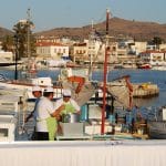 Φιστίκι Αίγινας και Φεστιβάλ Φιστικιού, Aegina's Pistachios and Pistachio (Fistiki) Festival