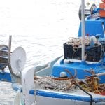 Πέρδικα Αίγινα, Perdika Aegina
