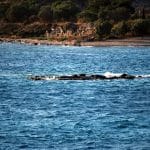 Αίγινα το Χειμώνα, Aegina in Winter