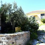 Διεθνές Φεστιβάλ Μουσικής, Αίγινα, International Music Festival, Aegina