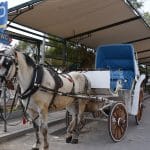Άμαξες Πόλη Αίγινας, Horse Carriage in the Town of Aegina