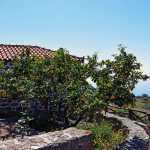 Βλάχηδες, Αίγινα, Vlachides, Aegina