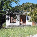Μπενάκηδες, Αίγινα, Benakides, Aegina
