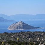 Τζίκηδες Αίγινα, Tzikides Aegina
