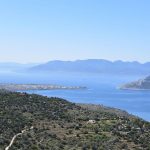 Τζίκηδες Αίγινα, Tzikides Aegina