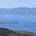 Τζίκηδες Αίγινα, Tzikides Aegina