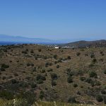 Σφεντούρι Αίγινα, Sfentouri Aegina
