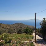 Σφεντούρι Αίγινα, Sfentouri Aegina