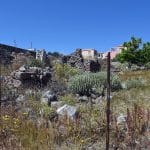 Σφεντούρι Αίγινα, Sfentouri Aegina