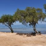 Παραλία Καβουρόπετρα Αίγινα, Kavouropetra Beach Aegina