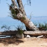 Παραλία Καβουρόπετρα Αίγινα, Kavouropetra Beach Aegina