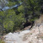 Παραλία Πλακάκια Αίγινα, Plakakia Beach Aegina