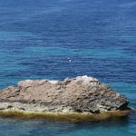 Βάγια Αίγινα, Vagia Aacna