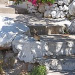 Βλάχηδες, Αίγινα, Vlachides, Aegina
