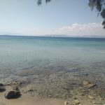 Παραλία Βάγια Αίγινα, Vagia Beach Aegina