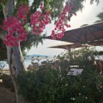 Akrogialia Restaurant Marathonas Aegina