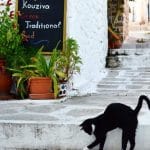 Ταβέρνα Αλκυόνη, Πέρδικα, Αίγινα, Alkyoni Restaurant, Perdika, Aegina