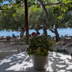 Ostria Restaurant Aegina Marathonas Aegina, Εστιατόριο Όστρια Μαραθώνας Αίγινα