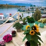To Deka Perdika Restaurant, Perdika, Aegina, Δέκα Πέρδικα