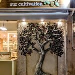 Kypseli Pistachio Shop Aegina - Κυψέλη Φιστικοπωλείο Αίγινα