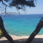 Aegina Tourism - Charbel from Lebanon