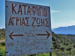 Ντίνα Χατζίνα, Αίγινα και αναμνήσεις, Dina Hatzina, Memories of Aegina
