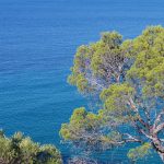 Agistri Beaches