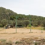 Horse Riding Agistri