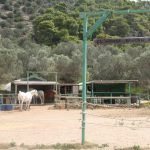 Horse Riding Agistri