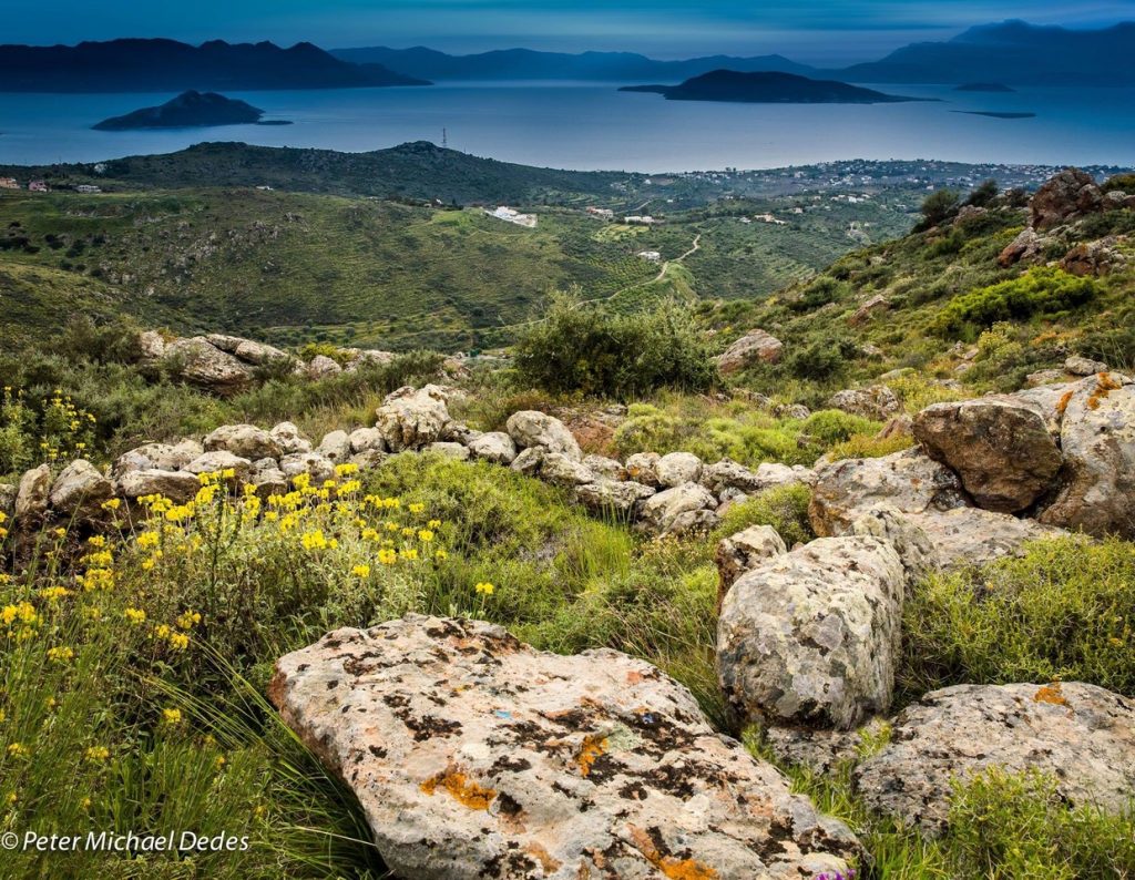 We Love Aegina_Peter Michael Dedes_Aegina_ΑίγιναIMG_0170