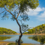 Agistri Lake - Limni Agistri
