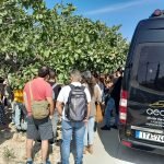 VIP Transfers Aegina, Ιδιωτικές Μετακινήσεις Αίγινα