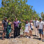 VIP Transfers Aegina, Ιδιωτικές Μετακινήσεις Αίγινα
