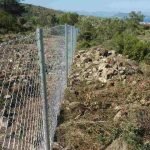 Μαργαρίτης Τέντες Αίγινα