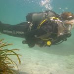 Interdive Αγκίστρι, Interdive Agistri