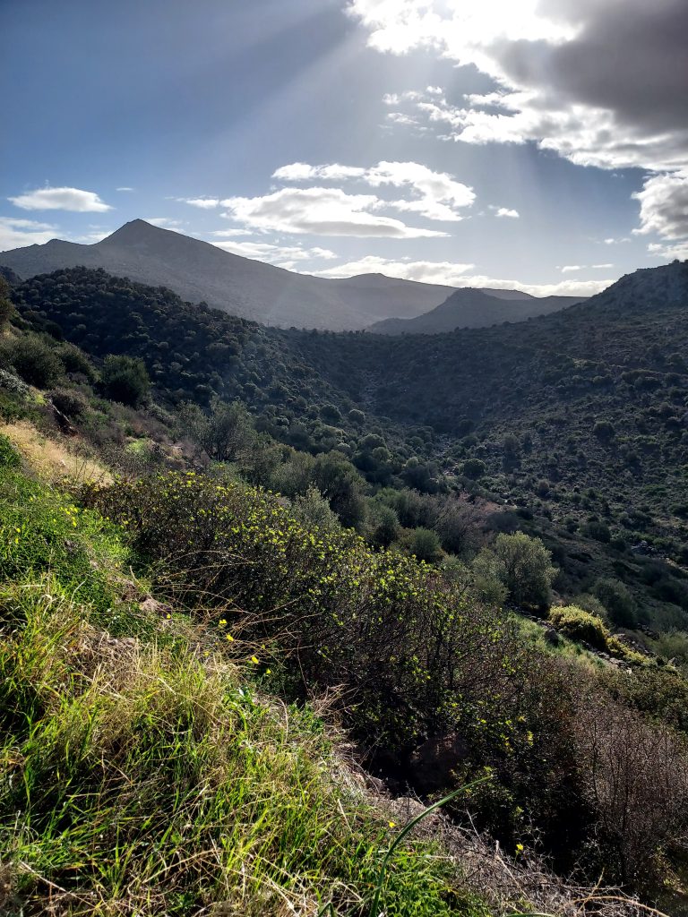 Walking through the mountains, by Rowena