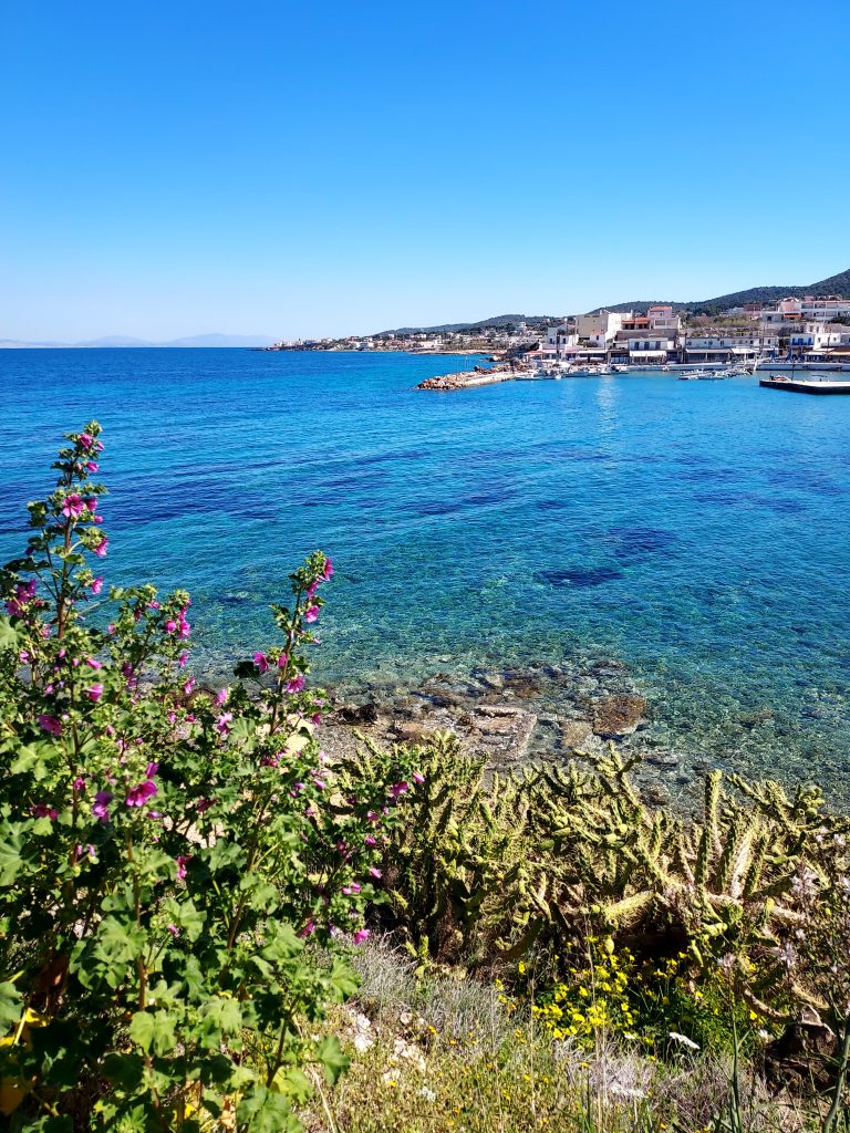 Rowena Harding: Aegina is a haven for remote workers & nature lovers 2