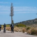 Aegina Bike Tours / Αίγινα Ποδήλατο