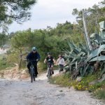 Aegina Bike Tours / Αίγινα Ποδήλατο