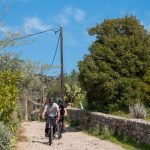 Aegina Bike Tours / Αίγινα Ποδήλατο