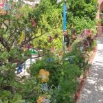 Kalokenti Studios Aegina