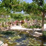 Καλλιτεχνικός Αγρόκηπος Μαρίνη Αίγινα