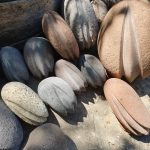 Καλλιτεχνικός Αγρόκηπος Μαρίνη Αίγινα