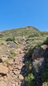 Περπατώντας στην ιστορία: Γιατί αξίζει να προστατεύουμε τα μονοπάτια της Αίγινας 4